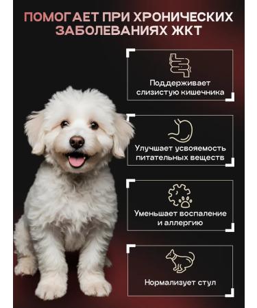 cosmodog Hypoallergenic lamb food food probiotic 0.8 kg - Buy Online on GoSupps.com