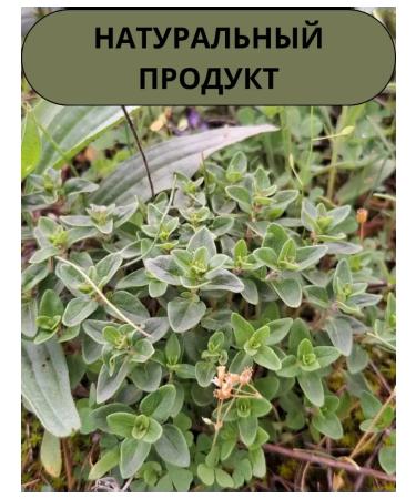 Dried natural thyme from Armenia 25 g - Buy Online on GoSupps.com