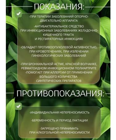 DIV fees Saber Swamp root 100g - Buy Online on GoSupps.com