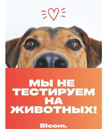 Rhode The set of blush gifts - Buy Online on GoSupps.com