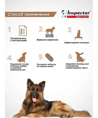 Neoterica Dog tablets more than 16 kg from fleas ticks - Buy Online on GoSupps.com