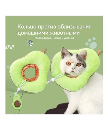 LOVING LAND Collar for cats and dogs protective - Buy Online on GoSupps.com