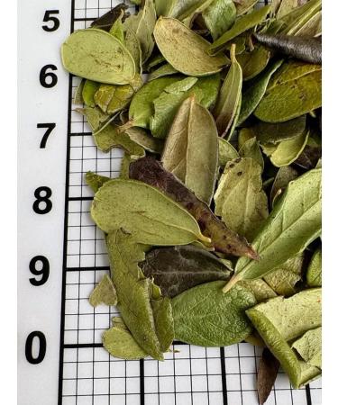 treelove Brusnice sheet - Buy Online on GoSupps.com