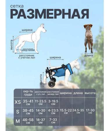 Lamurin Wheelchair for dog paws - Buy Online on GoSupps.com