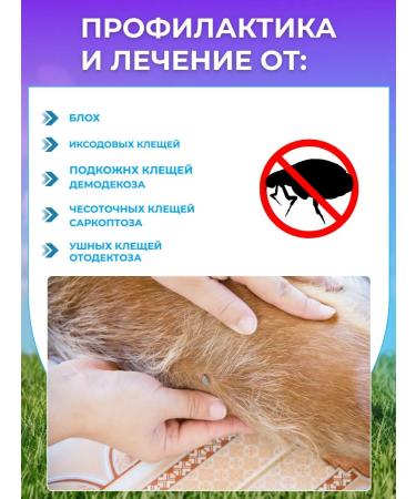 Braveto tablet for dogs from fleas and ticks 40-56 kg - Buy Online on GoSupps.com