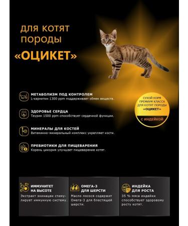 QUATTRO Dry food for kittens of rocks OCIKETE with turkey 2kg - Buy Online on GoSupps.com