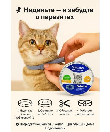 vipsvet collar for cats kittens from fleas ticks - Buy Online on GoSupps.com