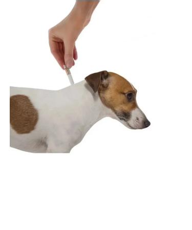 Bayer Antiparasitar for dogs more than 25 kg 1P*4ml - Buy Online on GoSupps.com