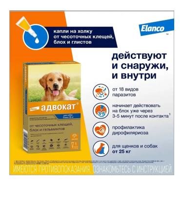 Bayer Antiparasitar for dogs more than 25 kg 1P*4ml - Buy Online on GoSupps.com