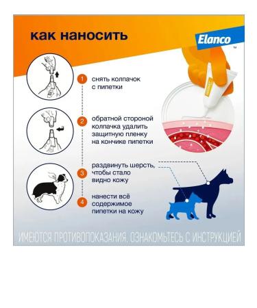 Bayer Antiparasitar for dogs more than 25 kg 1P*4ml - Buy Online on GoSupps.com