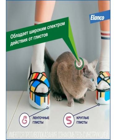 Bayer Anthelmintic for cats 2Tab - Buy Online on GoSupps.com