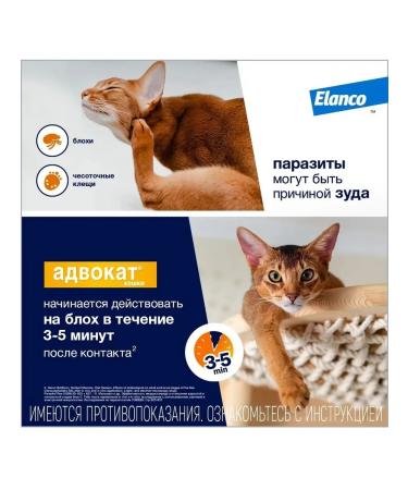 Bayer Antiparasitic drug cat 4-8kg 1P*0.8ml - Buy Online on GoSupps.com
