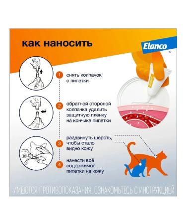 Bayer Antiparasitic drug cat 4-8kg 1P*0.8ml - Buy Online on GoSupps.com