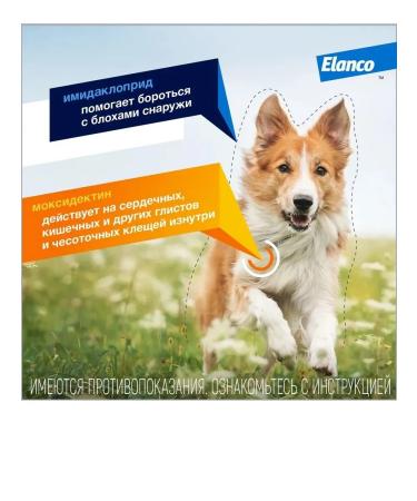 Bayer Antiparasitar for dogs up to 4 kg 3p*0.4ml - Buy Online on GoSupps.com