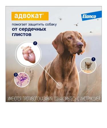 Bayer Antiparasitar for dogs up to 4 kg 3p*0.4ml - Buy Online on GoSupps.com