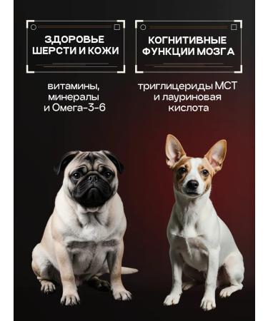 cosmodog Feed for dogs of small breeds of dry 5 kg lambs with a probiotic - Buy Online on GoSupps.com