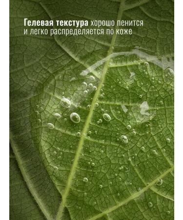 Moisturizing face washing gel with urea 200 ml - Buy Online on GoSupps.com