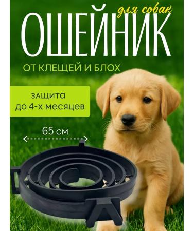 Dream market trends Antiplassitarian Dog anti -block collars