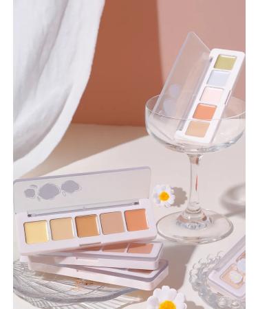 Blushmy Creamy concealer palette for the face - Buy Online on GoSupps.com