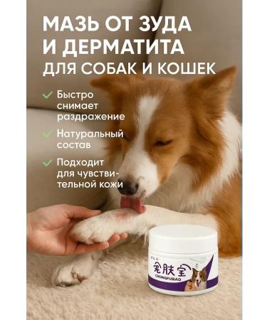 AKMarket Ointment for healing the skin of dogs and cats from itching wounds