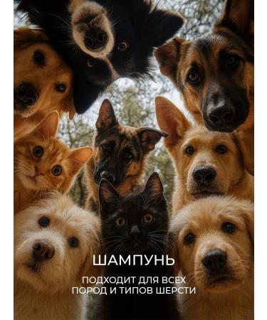 LUIR Container shampoo for washing dogs and cats Gruming effect - Buy Online on GoSupps.com