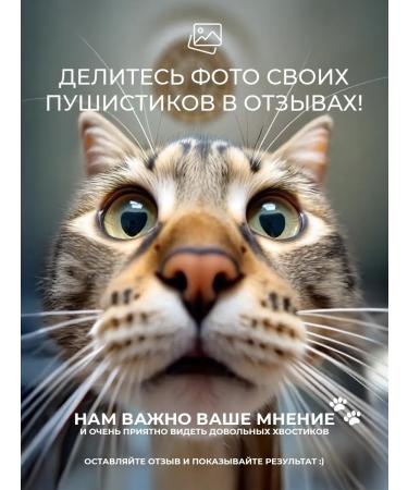 LUIR Container shampoo for washing dogs and cats Gruming effect - Buy Online on GoSupps.com