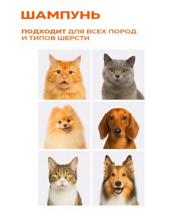 LUIR Container shampoo for washing dogs and cats with chlorhexidine - Buy Online on GoSupps.com