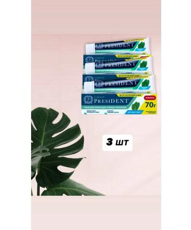 PRESIDENT Garant cream for fixing dentures with mint taste 70 ...