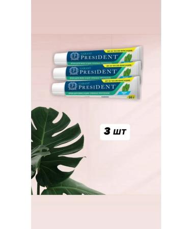 PRESIDENT Garant cream for fixing dentures with mint taste 20 ...