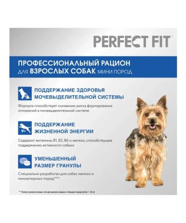 PERFECT FIT Dry food for dogs of small rocks 6 kg - Buy Online on GoSupps.com