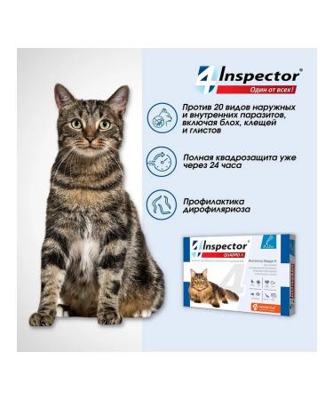 Neoterica Inspector Quadro k drops from cats for cats 8-15 kg 1 pc - Buy Online on GoSupps.com