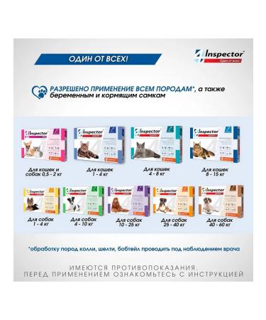 Neoterica Inspector Quadro k drops from cats for cats 8-15 kg 1 pc - Buy Online on GoSupps.com