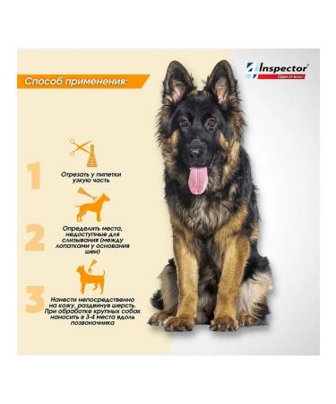 Neoterica Inspector Quadro C drops from dogs for dogs  - Buy Online on GoSupps.com
