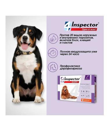 Neoterica Inspector Quadro C Drops of Dog parasites 10-25 kg 1pc - Buy Online on GoSupps.com