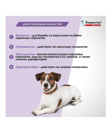 Neoterica Inspector Quadro C Drops of Dog parasites 10-25 kg 1pc - Buy Online on GoSupps.com