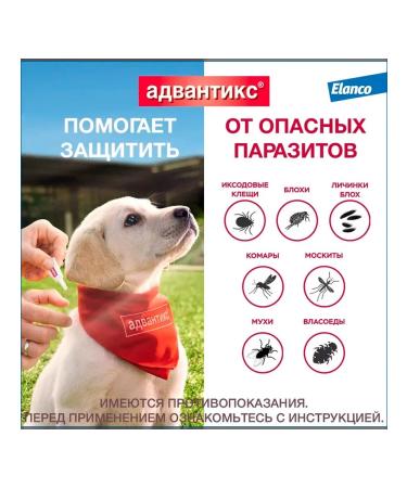 Elanco Advantics drops from fleas for dogs for dogs 10-25 kg 4 pipettes - Buy Online on GoSupps.com