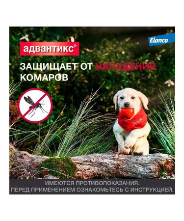 Elanco Advantics drops from fleas for dogs for dogs 10-25 kg 4 pipettes - Buy Online on GoSupps.com