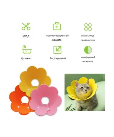 LOVING LAND Protective veterinary collar for cats and dogs - Buy Online on GoSupps.com
