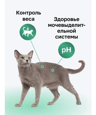 Organix Sterilized chicken sterilized feeder feed 36 10 kg - Buy Online on GoSupps.com