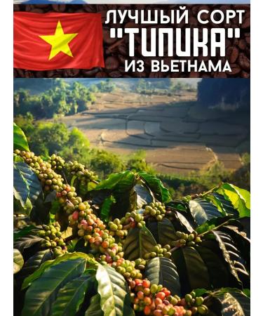 Coffee Bean Vietnamese coffee in grains of 500g arabica 100% - Buy Online on GoSupps.com