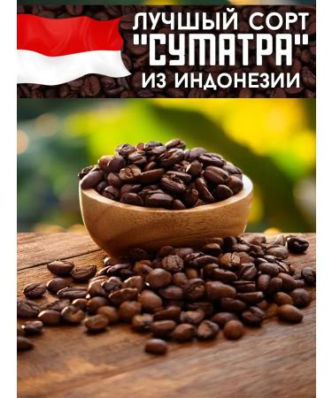 Coffee Bean Coffee in grains 1 kg of arabica 100% Indonesia XXL - Buy Online on GoSupps.com