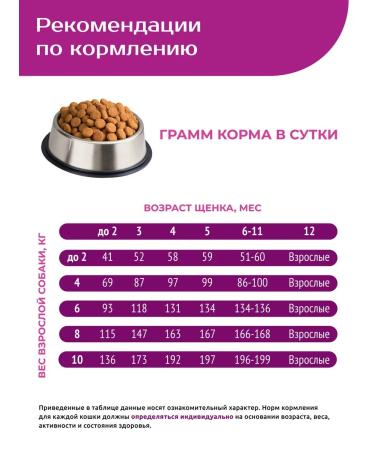 QUATTRO Feed for puppies of medium and large breeds with beef - Buy Online on GoSupps.com