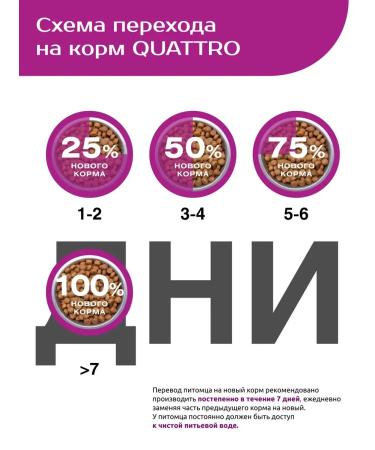 QUATTRO Feed for puppies of medium and large breeds with beef - Buy Online on GoSupps.com