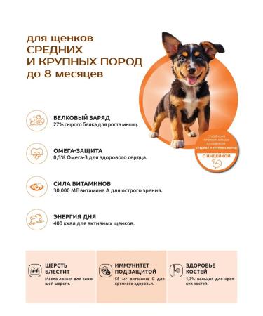 QUATTRO Feed for puppies of medium and large breeds with turkey - Buy Online on GoSupps.com