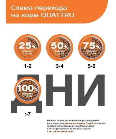 QUATTRO Feed for puppies of medium and large breeds with turkey - Buy Online on GoSupps.com