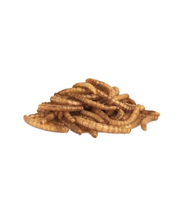 LITTLE ONE Flour worm a treat for omnivorous rodents 70g - Buy Online on GoSupps.com
