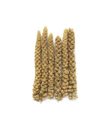 RIO Senegal millet in ears (for all species of birds) - Buy Online on GoSupps.com