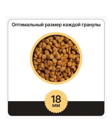 Nobleman Dry food for dogs of large breeds with poultry-2.5 kg - Buy Online on GoSupps.com