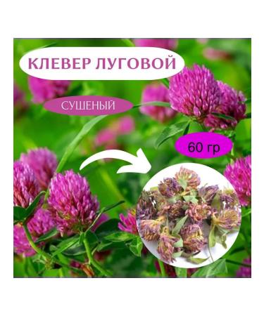 Clover flower dried meadow red collection 2025 60 gr