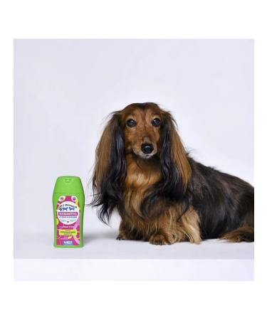 AVZ Animal Health Zoohampy four with ponytail for cats - Buy Online on GoSupps.com